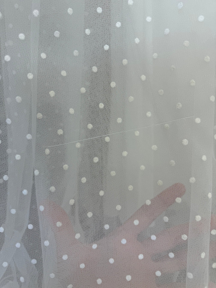 Lily - AU12